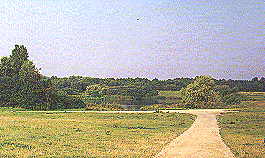 Bestwood Country Park Mill Lakes
